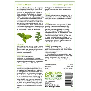 Stevia Samen | Stevia rebaudiana | Skraut Samen | 1 x 100 Samen