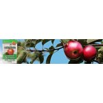    100% Apple Pectin from the pure...