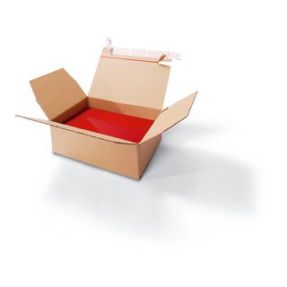 Cajas de Envío Caja Plegable con Base Intermitente: L x W x H en mm: 160 x 130 x 70