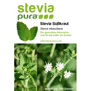 Sementes de Stevia | Stevia rebaudiana | Folha de Mel - Erva Doce | 1 x 100 sementes